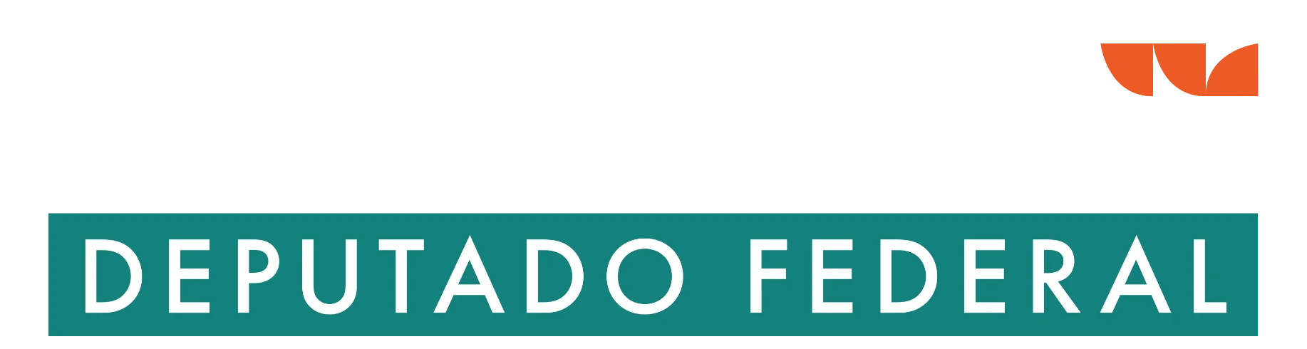 William Callegaro — Deputado Federal